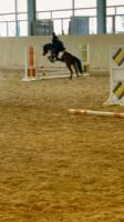 Sichtung Aufroth 3
