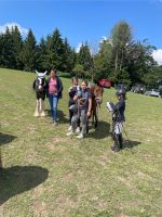 Turnier in Schwarzach 2023 