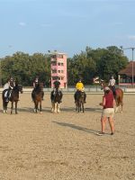 Pony Kadertraining 