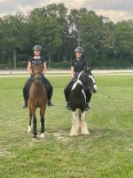Pony Kadertraining 1