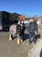 Ponymessen 