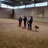Reitabzeichen Herbstferien 2023 1
