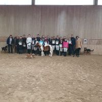 Reitabzeichen Herbstferien 2023 