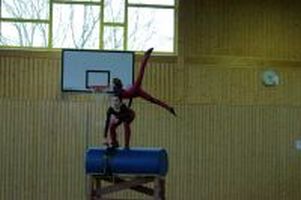 Holzpferd Turnier 1