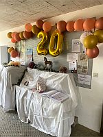 König der Löwen 2025 2