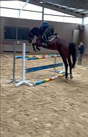 Springen Clarissa Ingerl 1