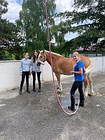 Reitabzeichen Pfingsten 2025 2