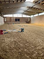 Reitabzeichen Pfingsten 2025 1