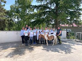 Reitabzeichen Pfingsten 2025 
