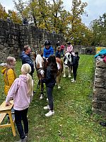 Marktmeile Ponyreiten 2025 