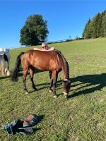 Turnier in Schwarzach 22 3