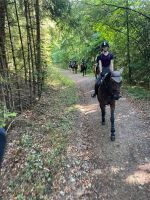 Reiterferien 22
