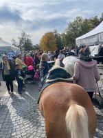 Mitterfelser Marktmeile 22