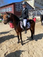Turnier Fuchsenhof 22 4