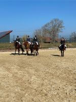 Turnier Fuchsenhof 22 1