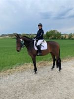 Turnier Oberpiebing 22 5