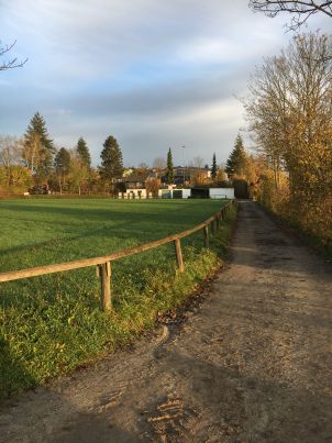 Rasenspringplatz