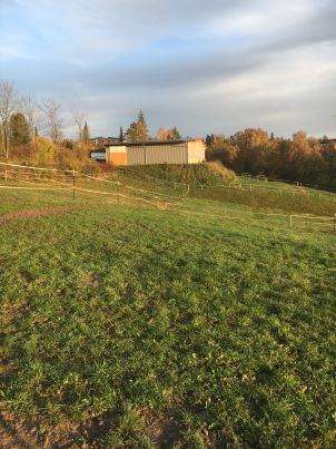 Hinter der Halle