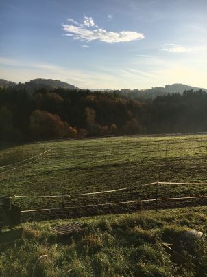 Koppeln